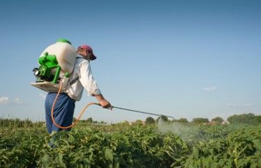 Vuelven a convocar un curso dirigido a agricultores de manipulación de productos fitosanitarios nivel cualificado