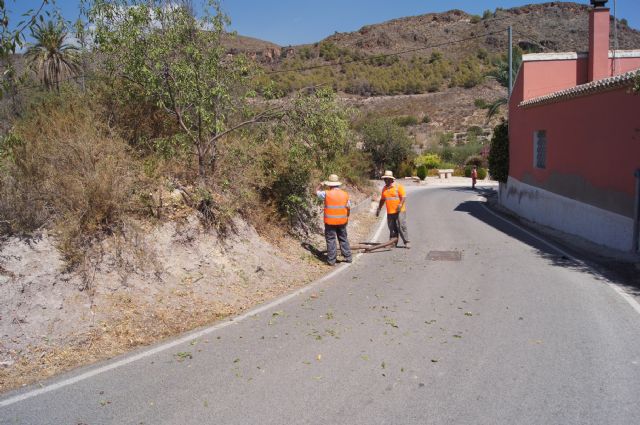 La Dirección General de Carreteras procede a la limpieza de cunetas y desbroce de obstáculos que invaden la carretera de La Huerta