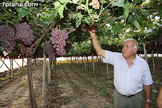 Denuncian el incumplimiento por la alcaldesa del convenio por el que se volvía a pagar el IBI rústico para destinarlo al pago de la guardería rural