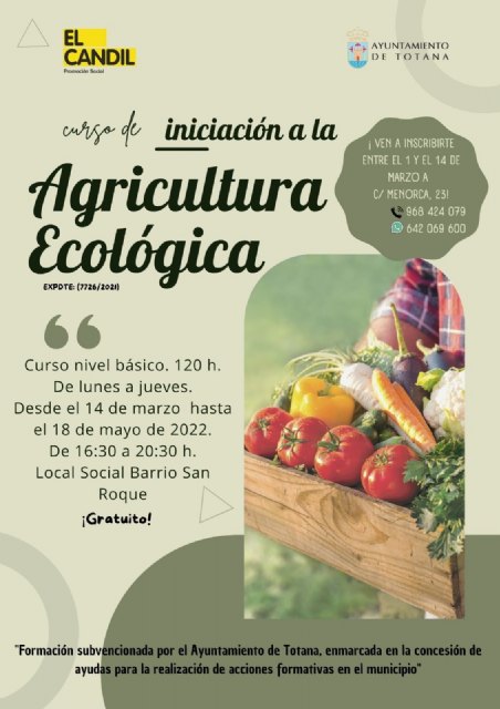 Aprende a cultivar tus propios alimentos en un huerto