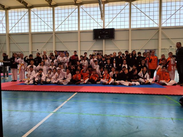 III liga regional de combate de Taekwondo