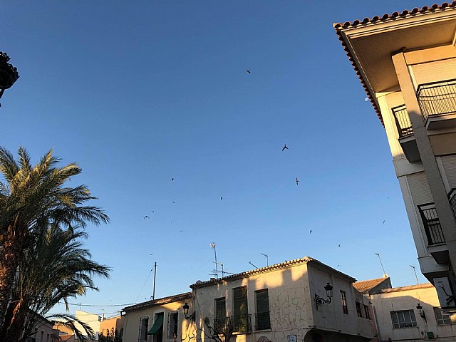 'Siempre están ahí... Todavía...', Juan José Cánovas