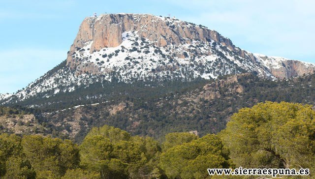 Adoptan medidas necesarias para garantizar el éxito del ciclo reproductor de águila real en diferentes parajes de Sierra Espuña