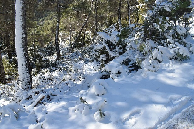 Temporal de frío y nieve