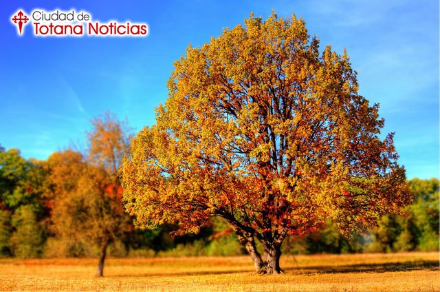 Octubre arranca con temperaturas superiores a las normales para la época
