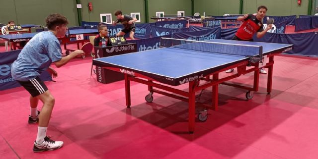 Top 8 de categorías de base