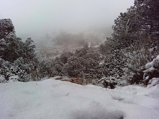 Las primeras nieves del invierno llegan a las cotas más altas del parque regional de Sierra Espuña