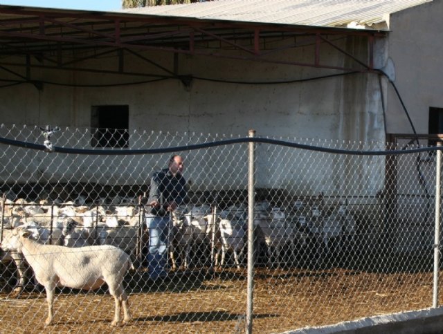 Aprueban redactar un borrador de Ordenanza Municipal sobre Actividades e Instalaciones Ganaderas de carácter doméstico y núcleos zoológicos