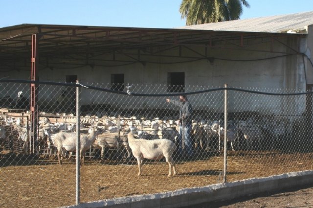 Acuerdan la nueva puesta en marcha del Consejo Asesor Agrario y Ganadero de Totana