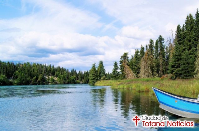 Este verano, disfruta de la pesca en Alaska