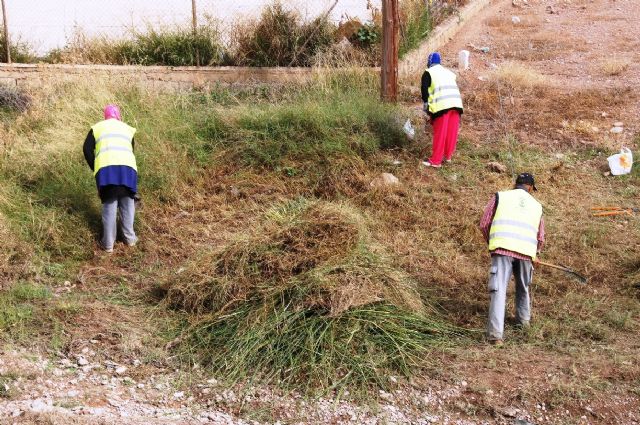 El SEPE concede tres proyectos en el marco de los Consejos Comarcales que permitirán contratar a 114 trabajadores desde octubre a marzo del 2017