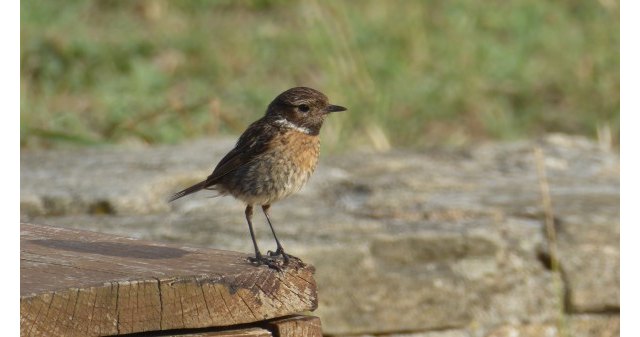 'El 11 de mayo comenzará quizás la fase más peligrosa, la fase 1'