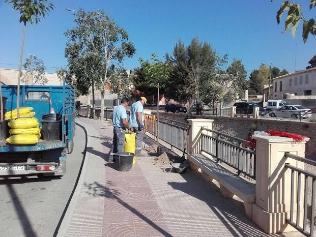 Replantan nuevo arbolado en los espacios vacíos de la avenida Rambla de La Santa