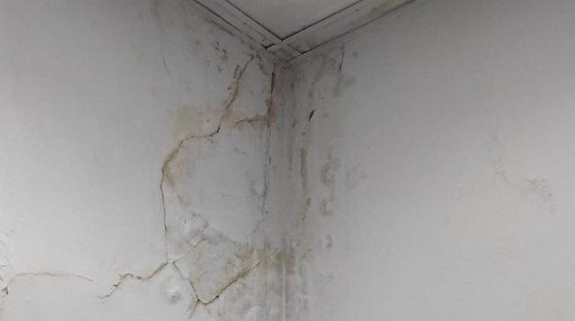 Denuncian que humedades, grietas y hedor en las aulas invaden la Escuela de Música del Paretón