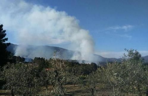 La Concejalía de Medio Ambiente ofrece una serie de recomendaciones en relación al uso del fuego para la eliminación de restos agrícolas tras la reciente orden aprobada por la Comunidad Autónoma