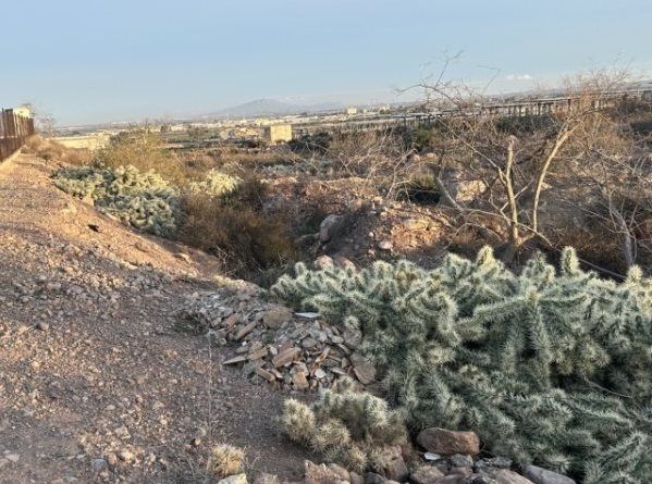 Solicitan a la Comunidad Autónoma una nueva actuación sobre la especie invasora vegetal que afecta al paraje de la Aceña del Hierro