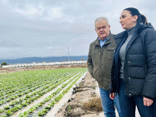 Los cultivos de lechuga, brócoli y alcachofa son los más perjudicados por el paso del temporal Emilia en el municipio de Totana