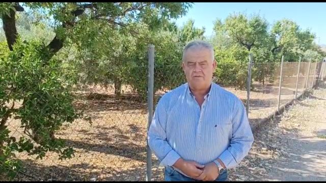 El PP denuncia el preocupante incremento de delitos en Totana, con datos alarmantes en robos con violencia e intimidación, lesiones y agresiones sexuales