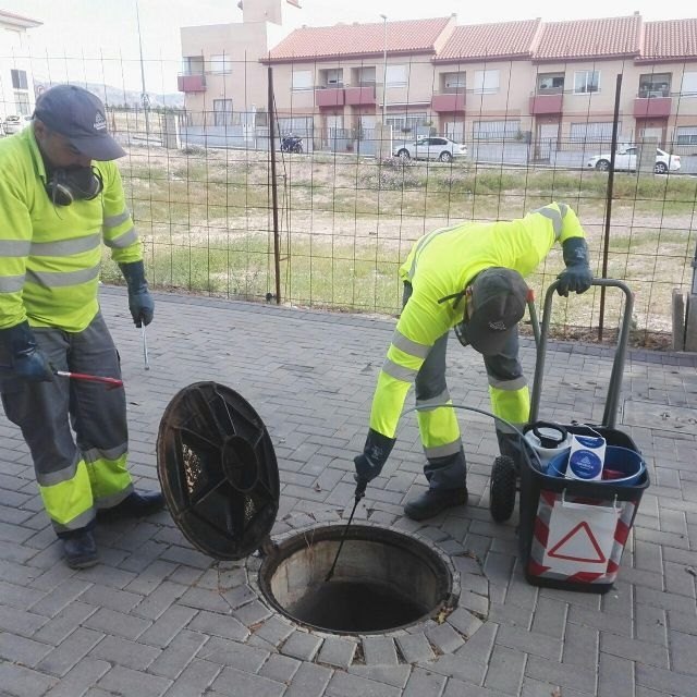 Prorrogan el contrato del Servicio de Control Integrado de Plagas Urbanas un año más, hasta abril de 2025