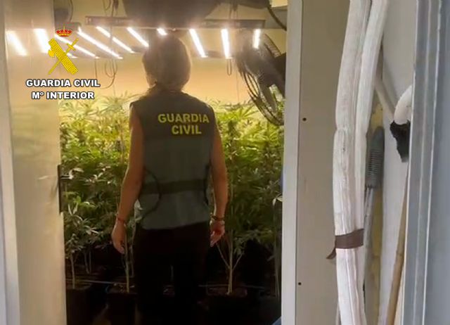 La Guardia Civil desmantela en Totana un invernadero con gran cantidad de marihuana