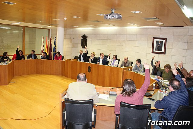 Pleno extraordinario y urgente 14/03/2019