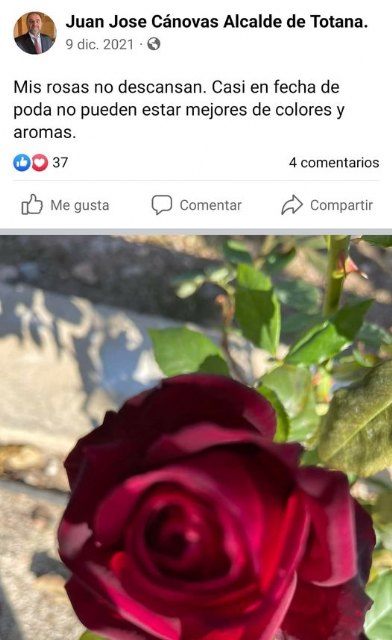 Diego Conesa: 'Que la tierra te sea leve, Juanjo'