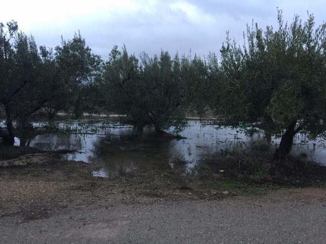 'Bendita Agua' (Hasta ahora)