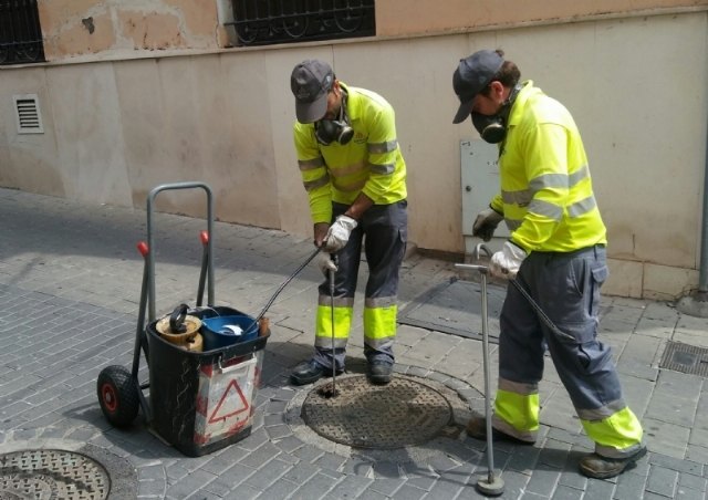 Comienza el expediente para licitar el nuevo Servicio de Control Integrado de Plagas Urbanas en este municipio
