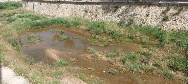 El PP insta al alcalde que lleve a cabo la inmediata fumigación contra insectos en las zonas afectadas del casco urbano y pedanías