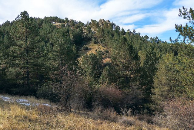 Trofeo Nazaríes 2016 - Ya está aquí el 5º Trofeo Nazaríes
