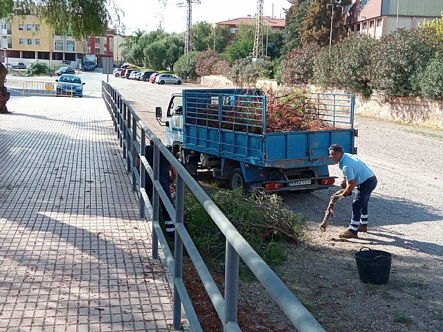 Brigada municipal: trabajos del 20 octubre