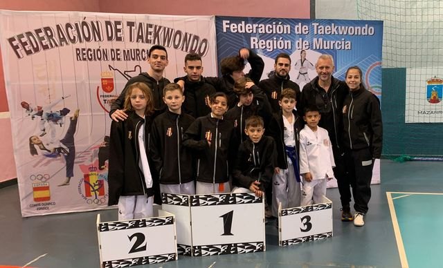 Ligas de combate taekwondo