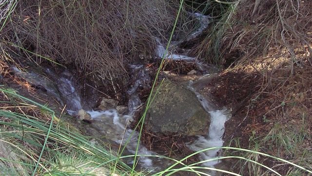 La abundancia de lluvia en Totana hace ahora 132 años
