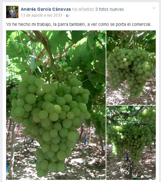 Andrés García Cánovas: 'Yo he hecho mi trabajo, la parra también, a ver como se porta el comercial'