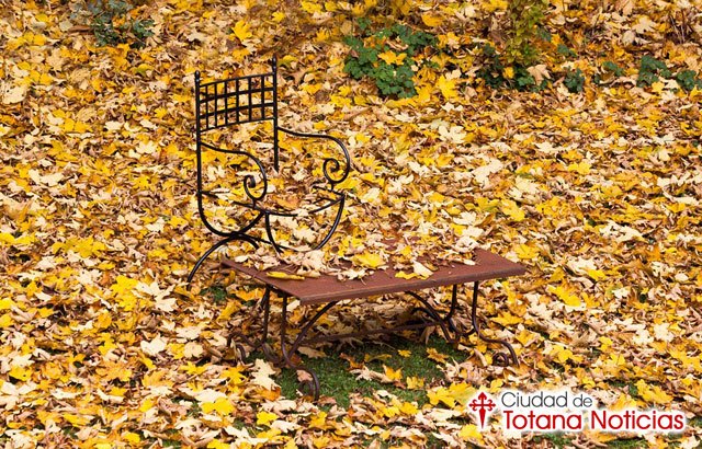 Consejos para preparar el jardín para la llegada del otoño