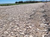 Vecinos de La Ñorica denuncian el grave estado de los caminos y exigen soluciones urgentes Totana - Foto 14