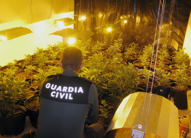 La Guardia Civil desmantela una plantación de marihuana en una vivienda en Totana ocupada ilegalmente por una joven pareja