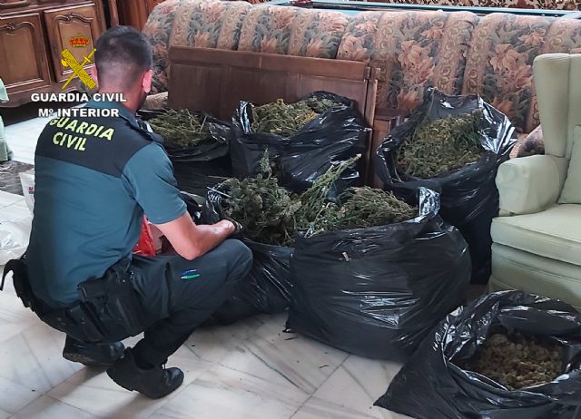 La Guardia Civil desmantela un invernadero indoor de marihuana en un almacén de antigüedades de Totana