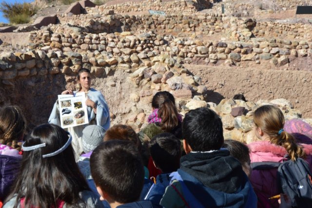 Turismo retoma las visitas guiadas al yacimiento arqueológico de La Bastida, programadas ya a partir de marzo